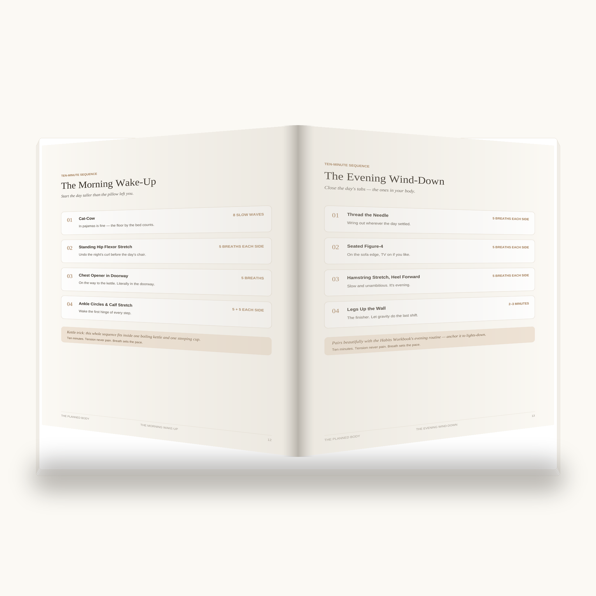 The Daily Mobility Guide - ThePlannedBody